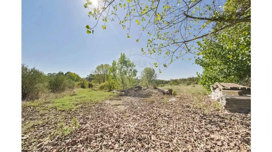 Quinta T2 para Venda em Rio Maior Foto 9