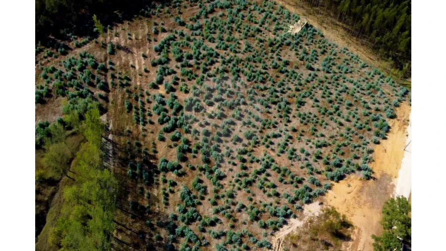 Quinta T2 para Venda em Rio Maior Foto 24