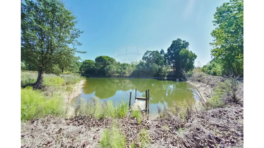 Quinta T2 para Venda em Rio Maior Foto 10