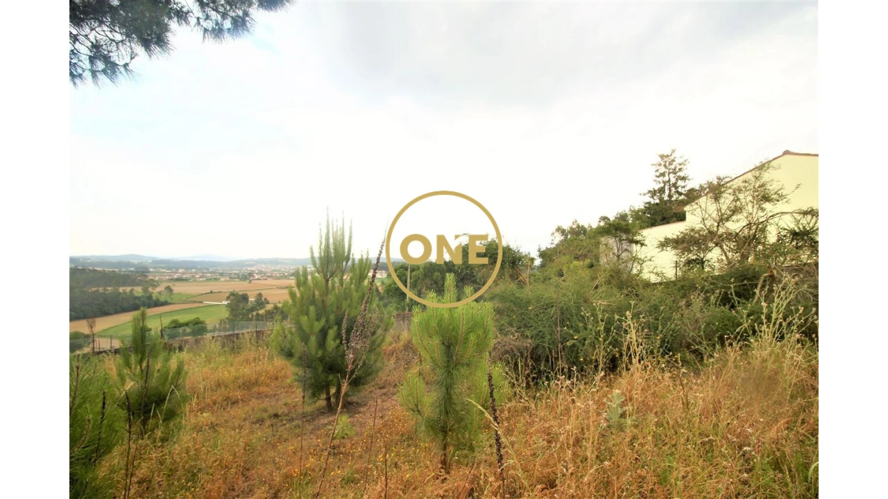 Terreno para Venda em Rio Mau e Arcos Foto 2