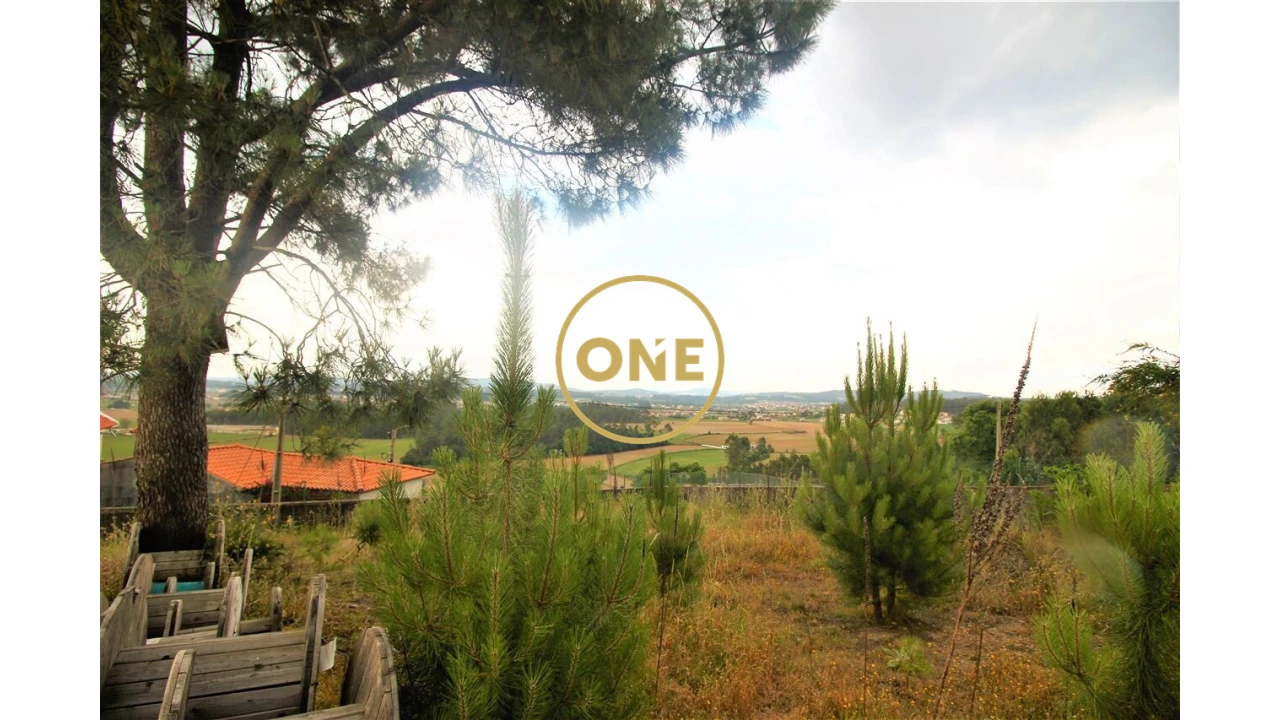 Terreno para Venda em Rio Mau e Arcos Foto 1