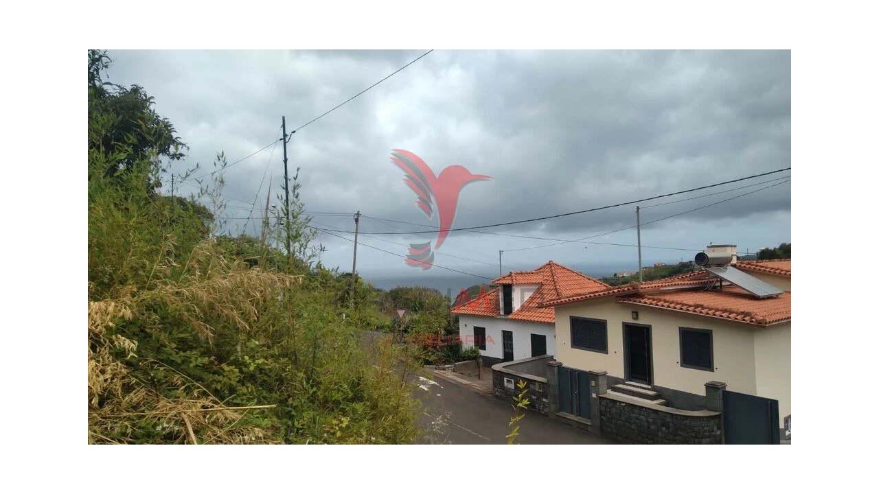 Terreno para Venda em Porto da Cruz Foto 6