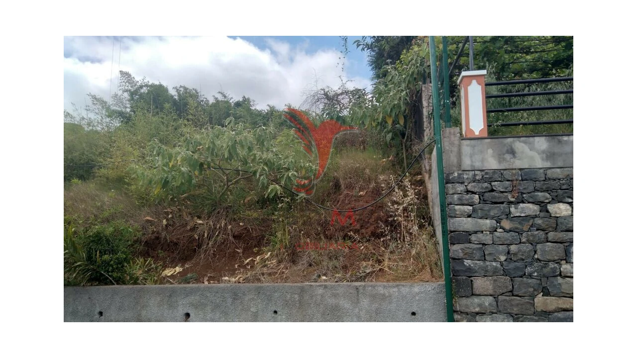 Terreno para Venda em Porto da Cruz Foto 3