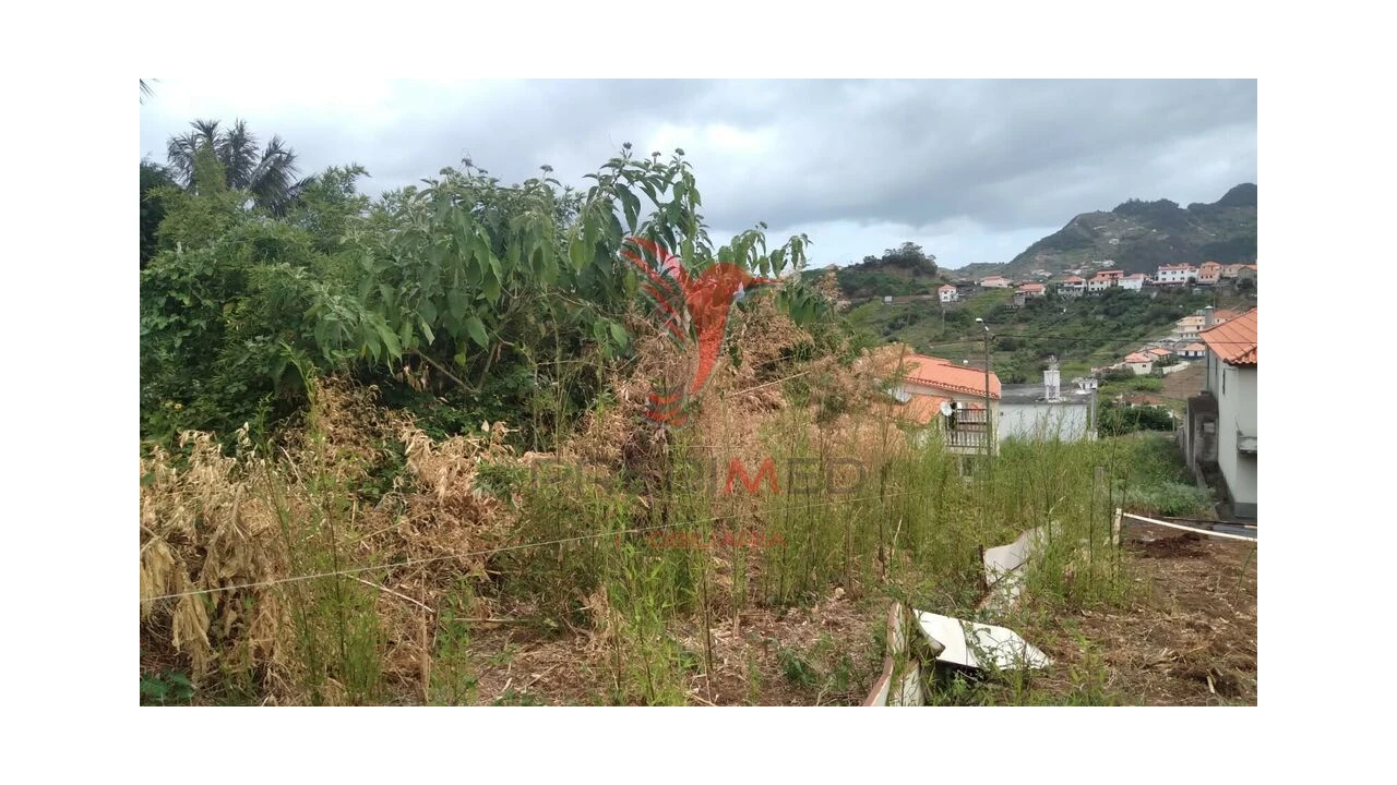 Terreno para Venda em Porto da Cruz Foto 5