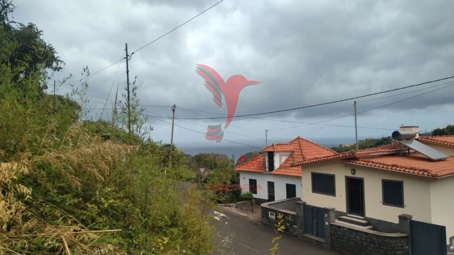 Terreno para Venda em Porto da Cruz Foto 6