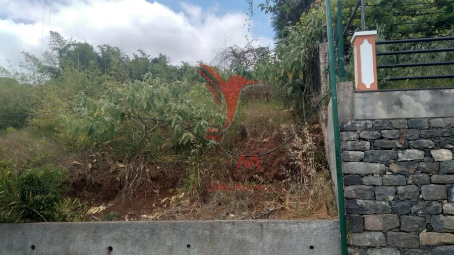 Terreno para Venda em Porto da Cruz Foto 3