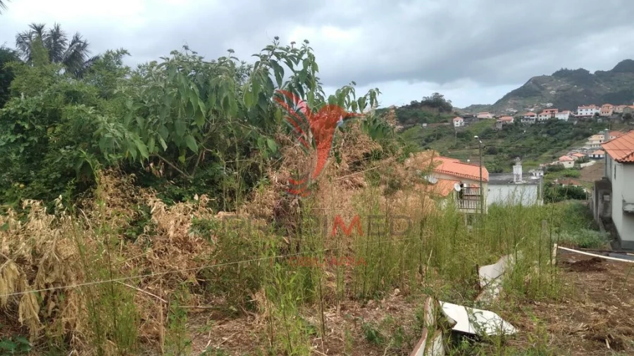 Terreno para Venda em Porto da Cruz Foto 5