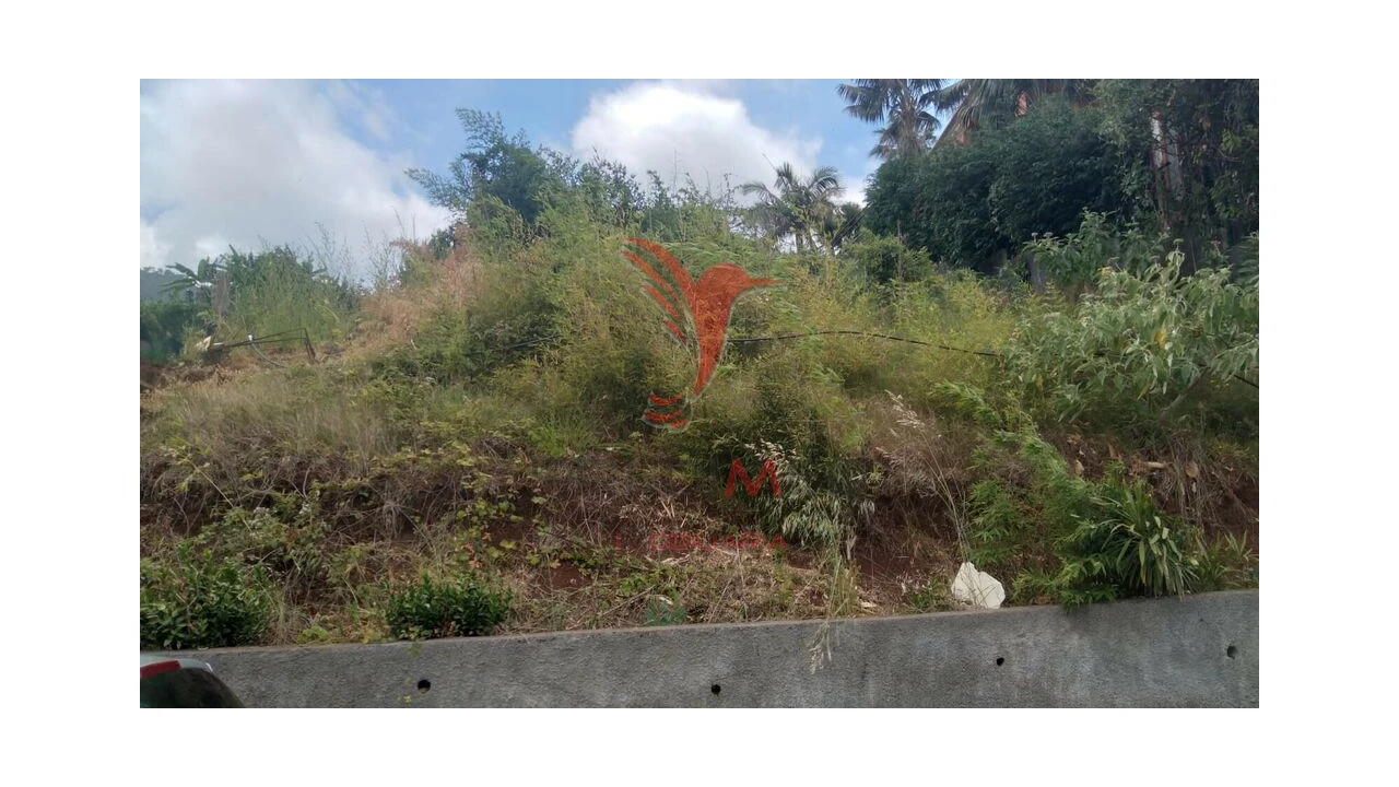 Terreno para Venda em Porto da Cruz Foto 2