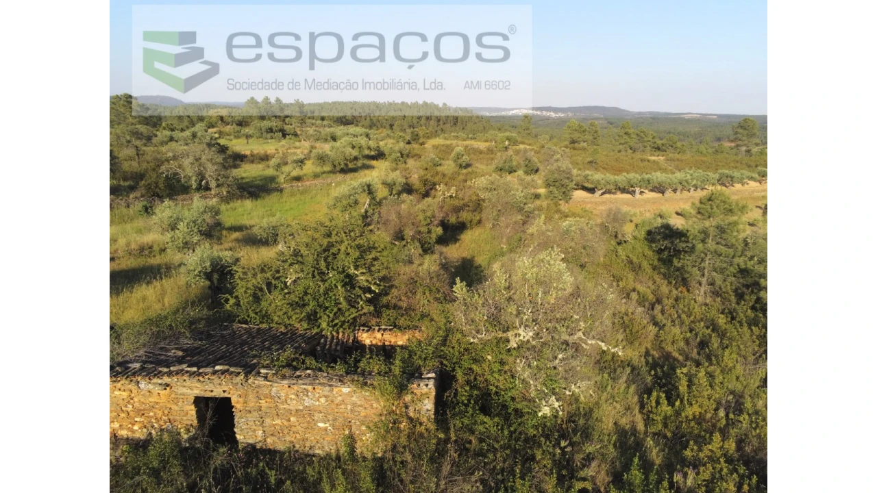 Quinta para Venda em Sarzedas Foto 1