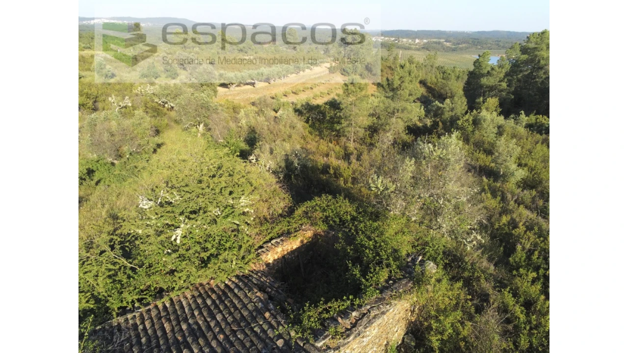 Quinta para Venda em Sarzedas Foto 9