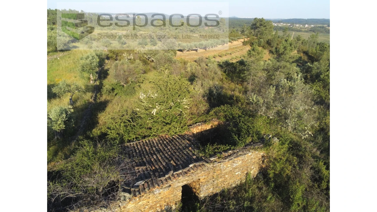Quinta para Venda em Sarzedas Foto 10