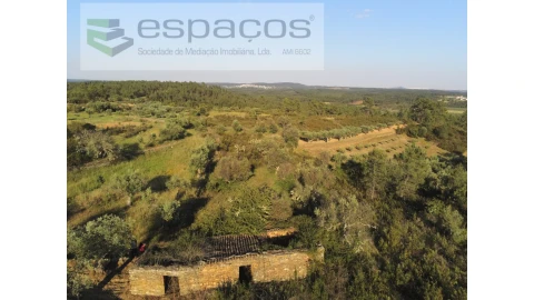 Quinta para Venda em Sarzedas