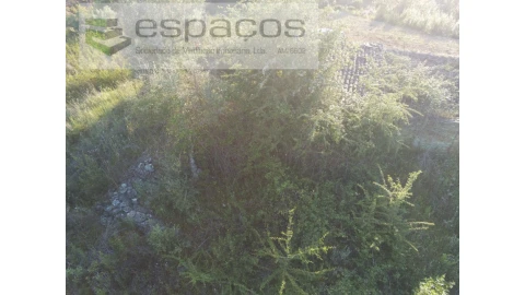 Quinta para Venda em Sarzedas