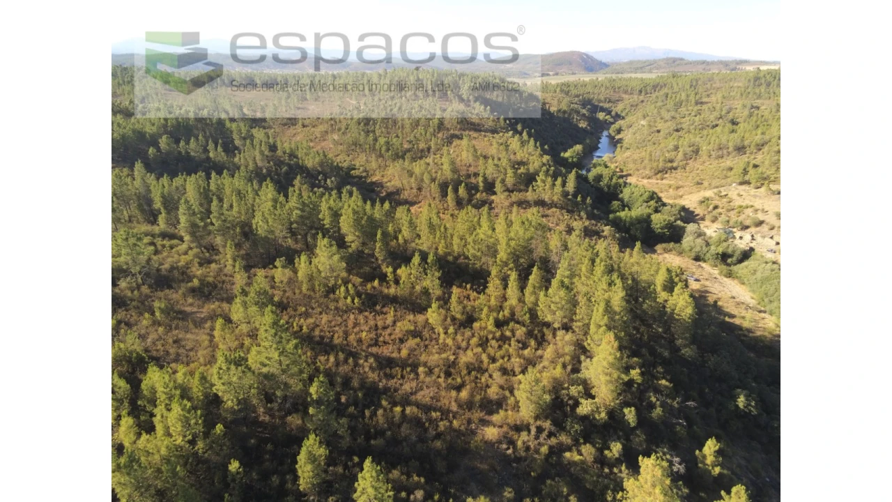 Terreno Agricola ou Rústico para Venda em Freixial e Juncal do Campo Foto 1