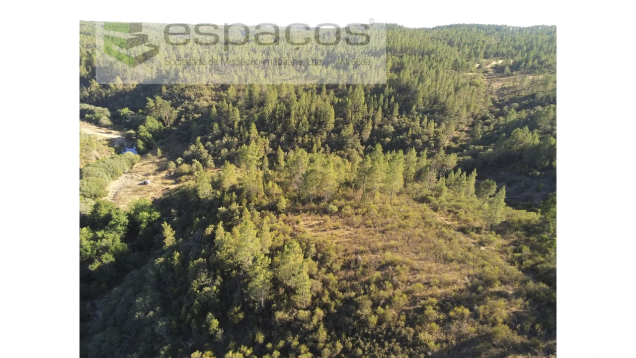 Terreno Agricola ou Rústico para Venda em Freixial e Juncal do Campo Foto 2