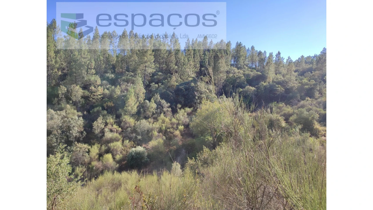 Terreno Agricola ou Rústico para Venda em Freixial e Juncal do Campo Foto 4