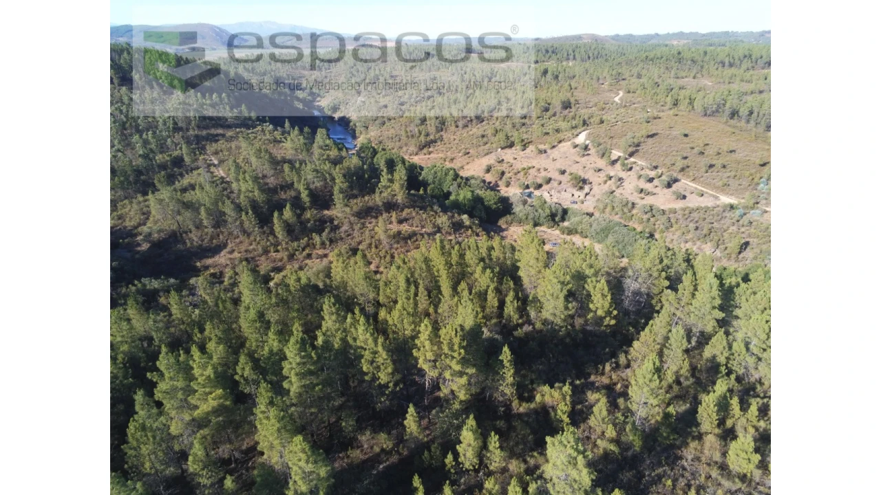 Terreno Agricola ou Rústico para Venda em Freixial e Juncal do Campo Foto 6