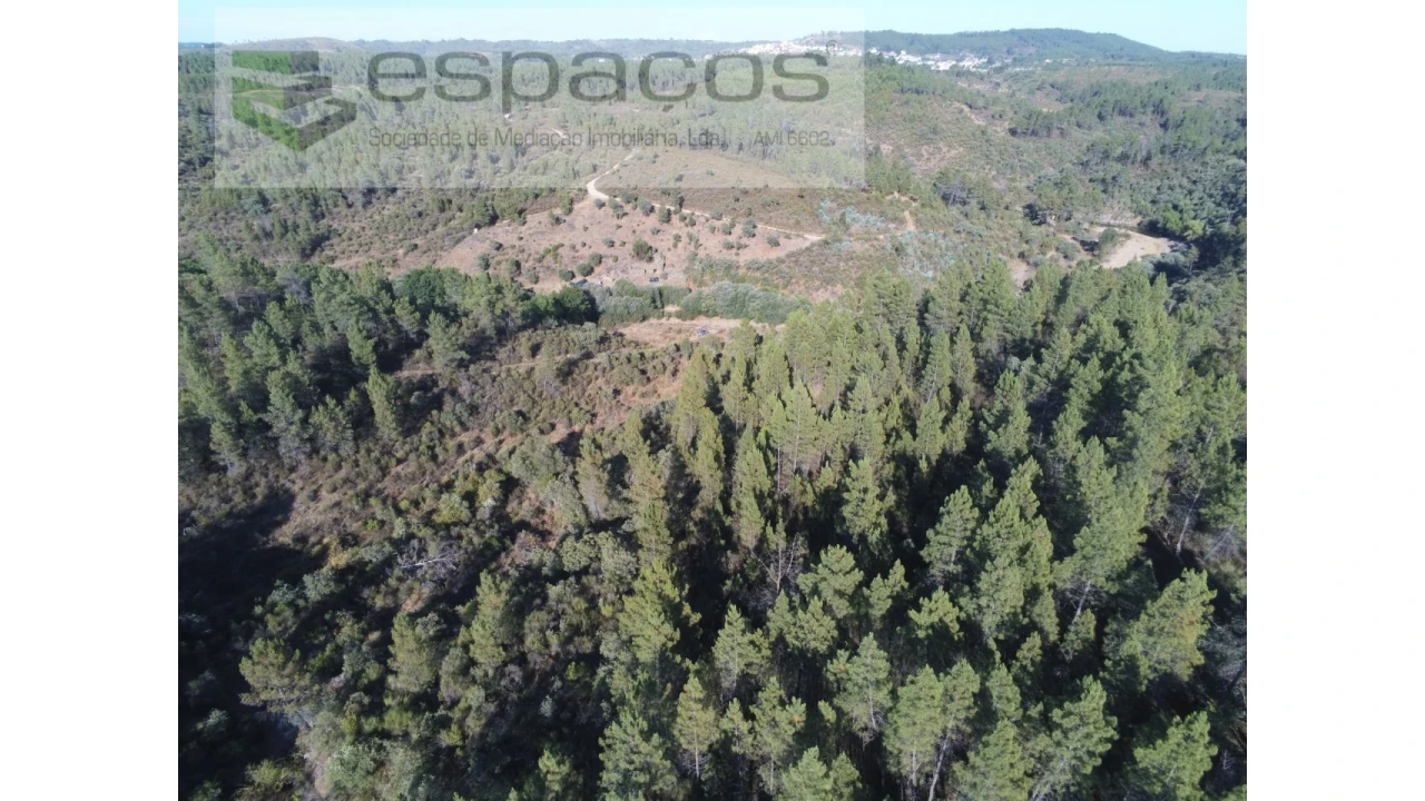 Terreno Agricola ou Rústico para Venda em Freixial e Juncal do Campo Foto 7