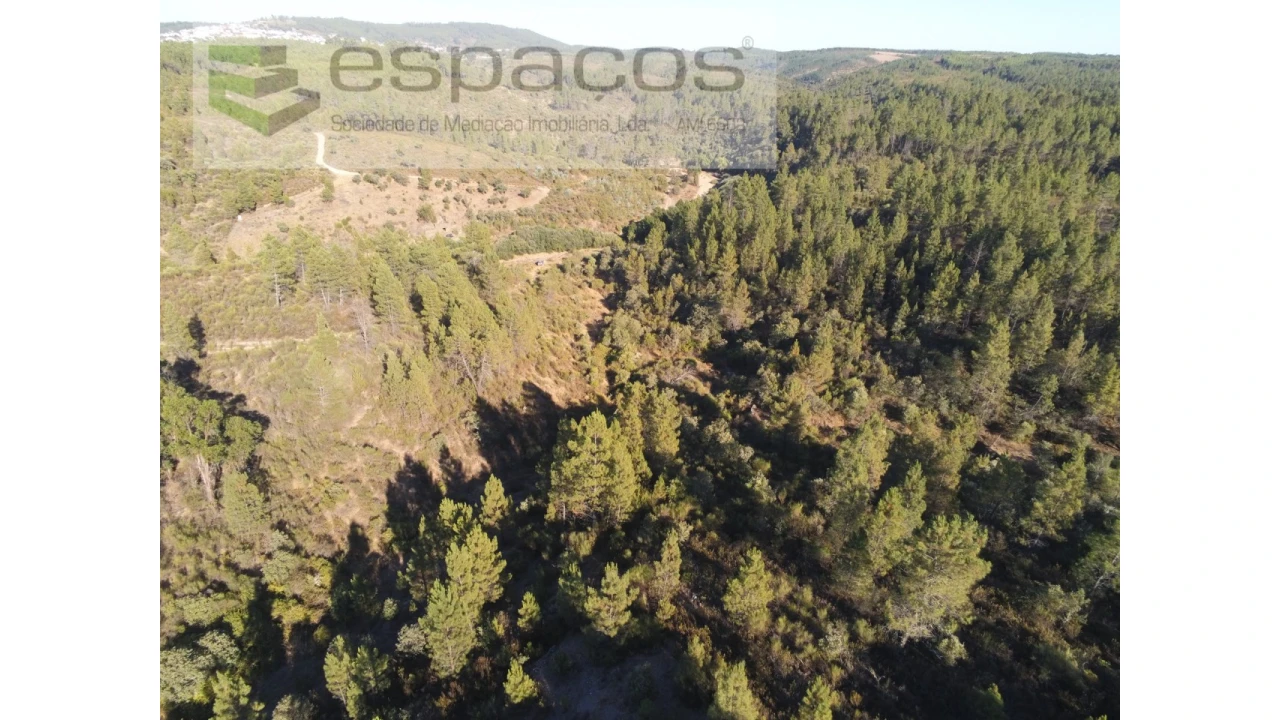 Terreno Agricola ou Rústico para Venda em Freixial e Juncal do Campo Foto 8