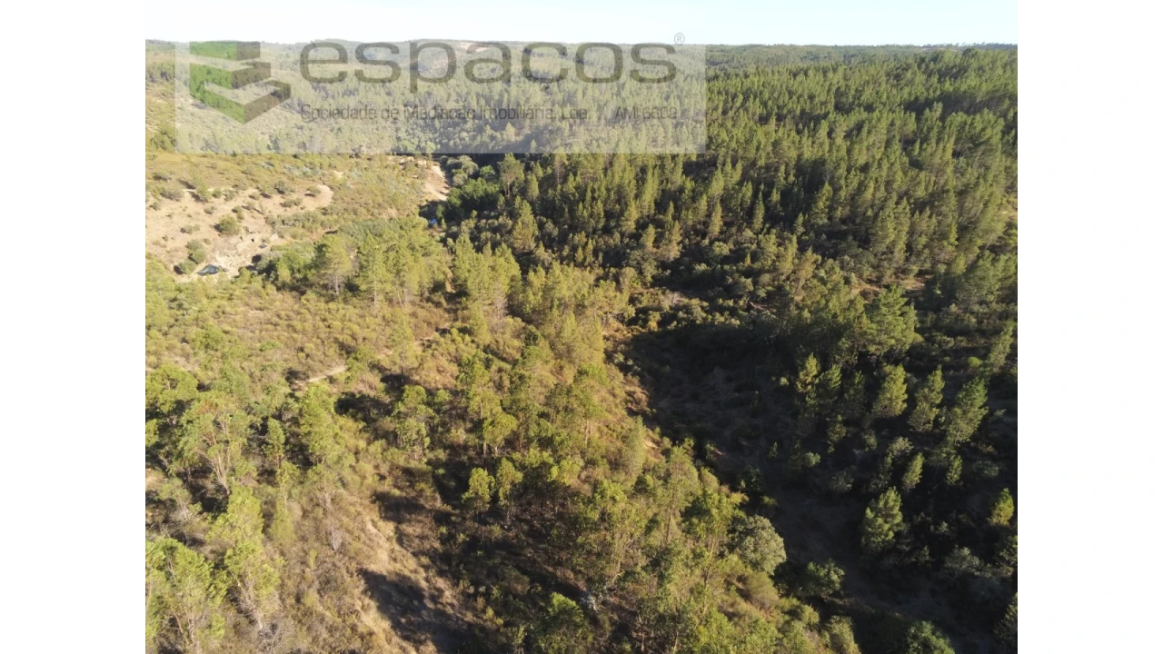 Terreno Agricola ou Rústico para Venda em Freixial e Juncal do Campo Foto 9