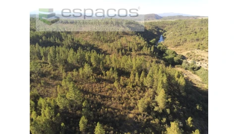 Terreno Agricola ou Rústico para Venda em Freixial e Juncal do Campo