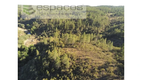 Terreno Agricola ou Rústico para Venda em Freixial e Juncal do Campo