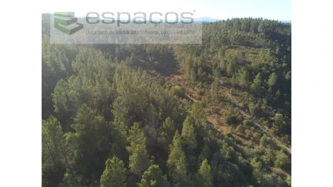 Terreno Agricola ou Rústico para Venda em Freixial e Juncal do Campo
