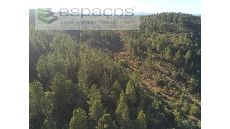 Terreno Agricola ou Rústico para Venda em Freixial e Juncal do Campo Foto 5