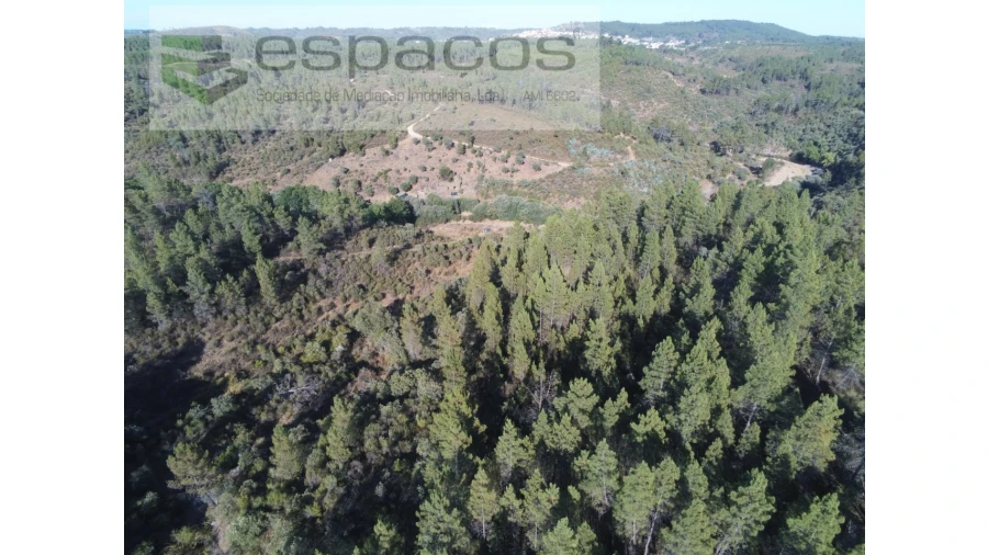 Terreno Agricola ou Rústico para Venda em Freixial e Juncal do Campo Foto 7