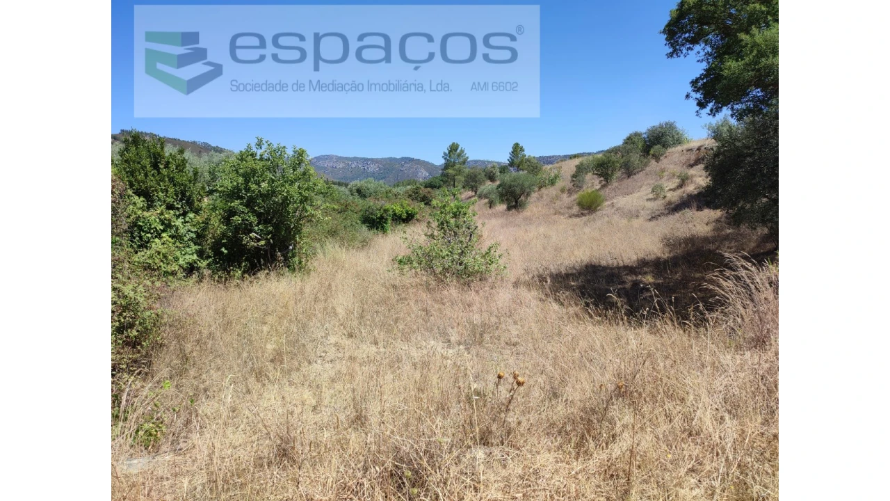 Terreno Agricola ou Rústico para Venda em Santana Foto 3