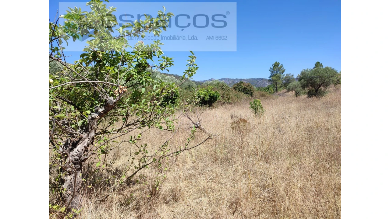 Terreno Agricola ou Rústico para Venda em Santana Foto 4
