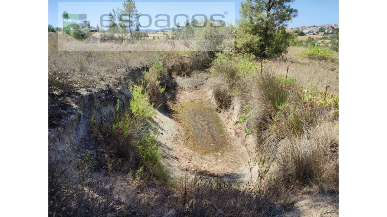 Terreno Agricola ou Rústico para Venda em Santana Foto 7