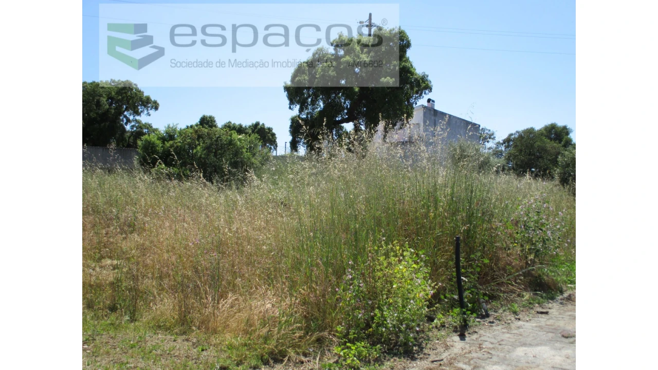 Terreno para Venda em Escalos de Cima e Lousa Foto 3