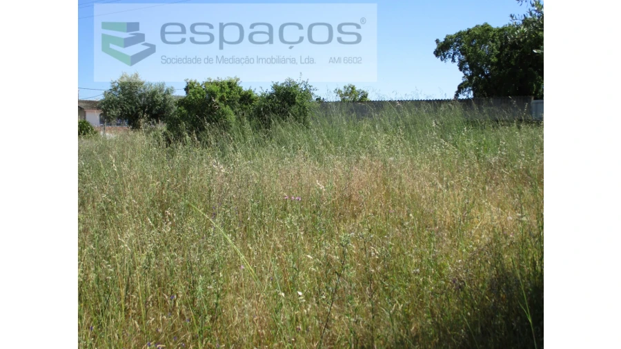 Terreno para Venda em Escalos de Cima e Lousa Foto 4