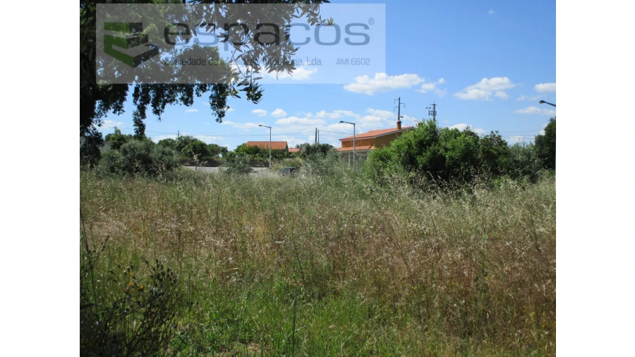 Terreno para Venda em Escalos de Cima e Lousa Foto 7