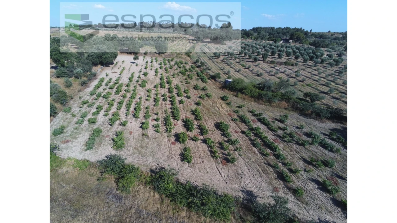 Terreno Agricola ou Rústico para Venda em Escalos de Baixo e Mata Foto 2