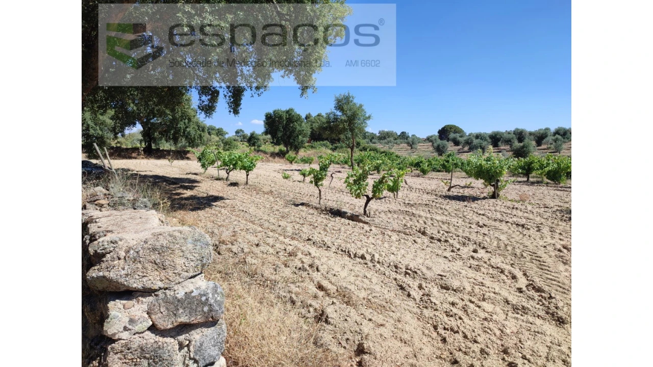 Terreno Agricola ou Rústico para Venda em Escalos de Baixo e Mata Foto 4