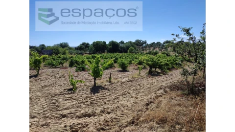 Terreno Agricola ou Rústico para Venda em Escalos de Baixo e Mata