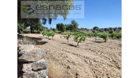Terreno Agricola ou Rústico para Venda em Escalos de Baixo e Mata