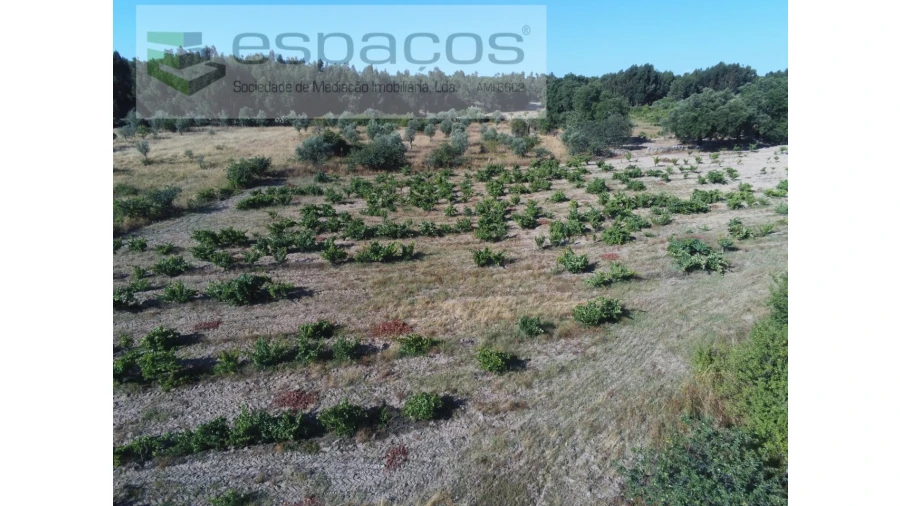 Terreno Agricola ou Rústico para Venda em Escalos de Baixo e Mata Foto 5