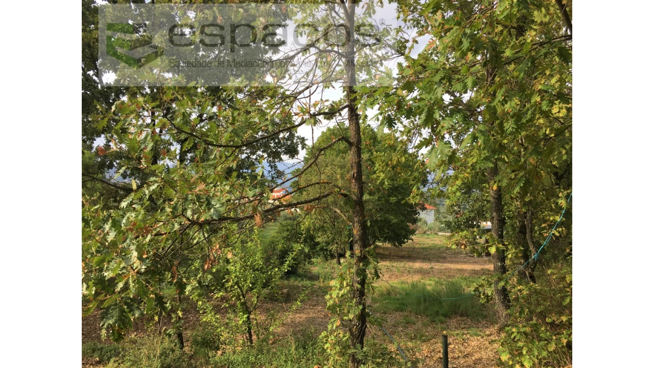 Terreno para Venda em Fundão, Valverde, Donas, A. Joanes, A. Nova Cabo Foto 7