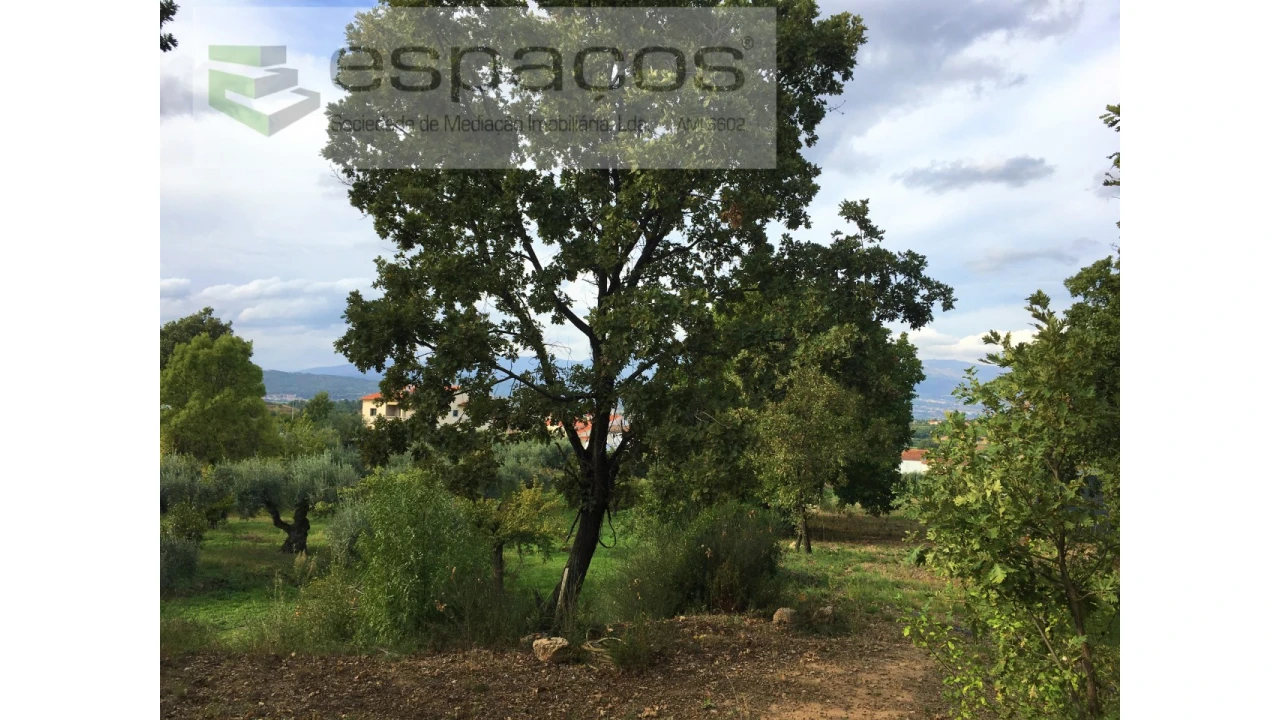 Terreno para Venda em Fundão, Valverde, Donas, A. Joanes, A. Nova Cabo Foto 8
