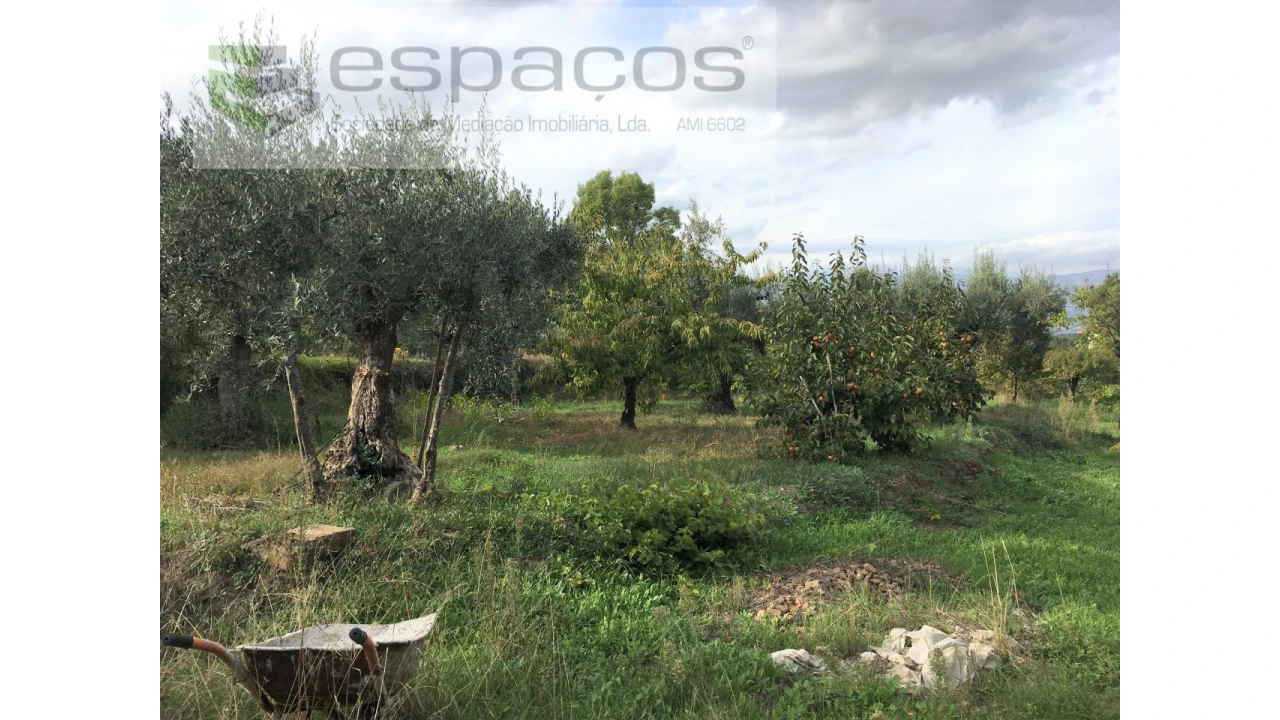Terreno para Venda em Fundão, Valverde, Donas, A. Joanes, A. Nova Cabo Foto 14