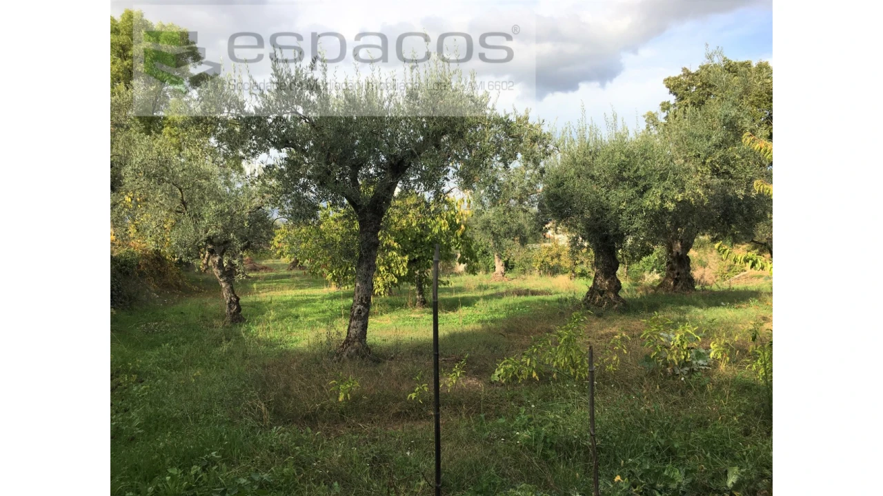 Terreno para Venda em Fundão, Valverde, Donas, A. Joanes, A. Nova Cabo Foto 15