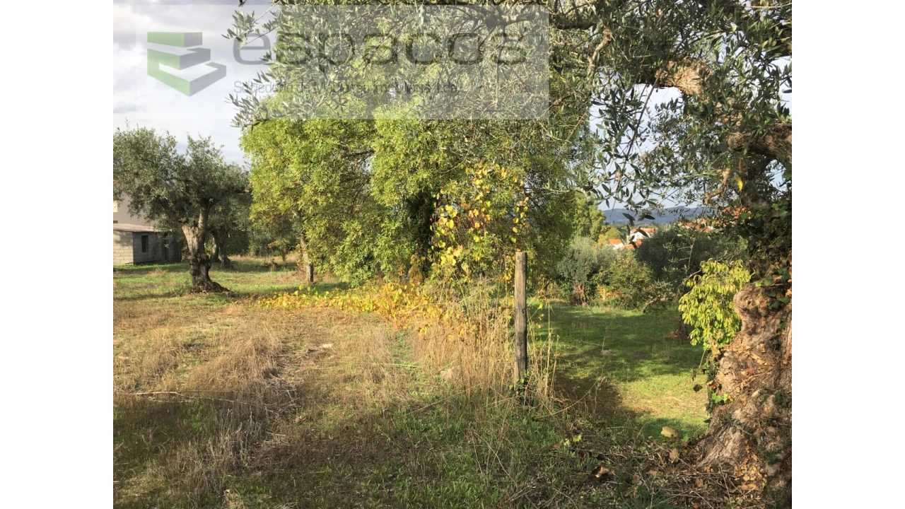 Terreno para Venda em Fundão, Valverde, Donas, A. Joanes, A. Nova Cabo Foto 16