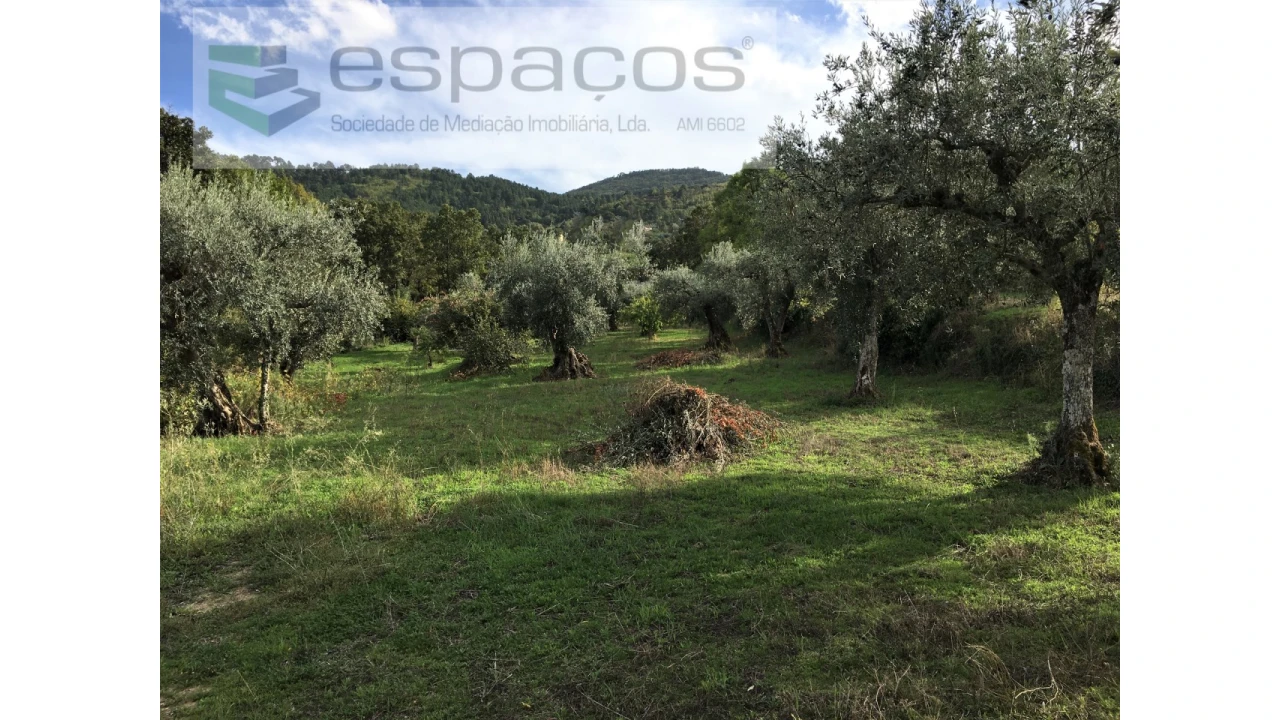 Terreno para Venda em Fundão, Valverde, Donas, A. Joanes, A. Nova Cabo Foto 18