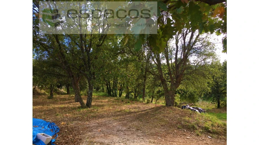 Terreno para Venda em Fundão, Valverde, Donas, A. Joanes, A. Nova Cabo Foto 2