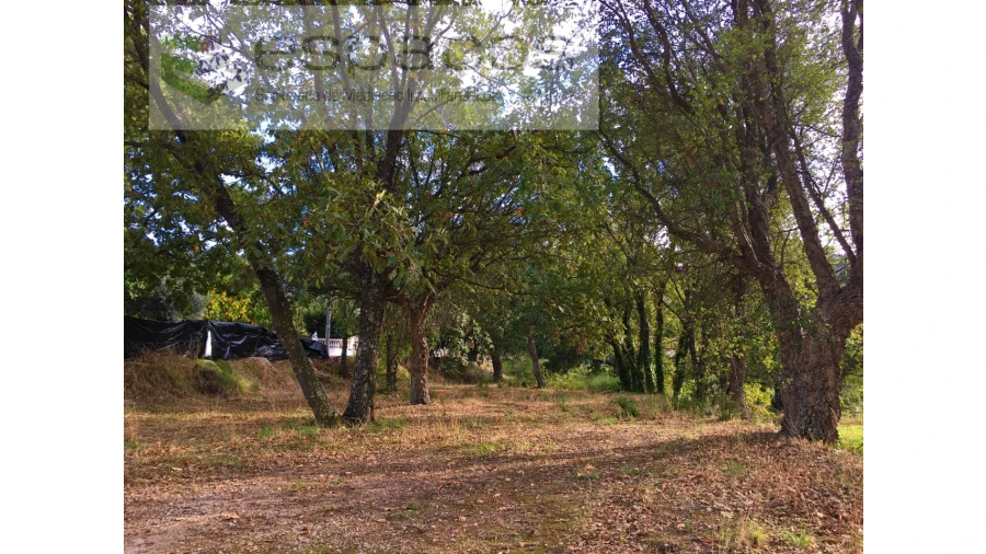 Terreno para Venda em Fundão, Valverde, Donas, A. Joanes, A. Nova Cabo Foto 1