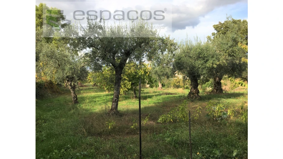 Terreno para Venda em Fundão, Valverde, Donas, A. Joanes, A. Nova Cabo Foto 15