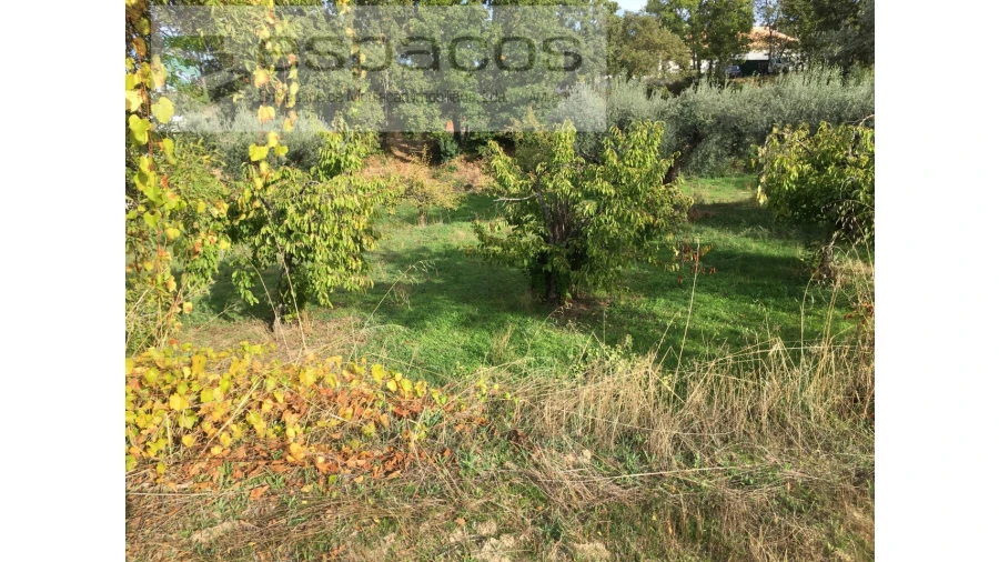 Terreno para Venda em Fundão, Valverde, Donas, A. Joanes, A. Nova Cabo Foto 17